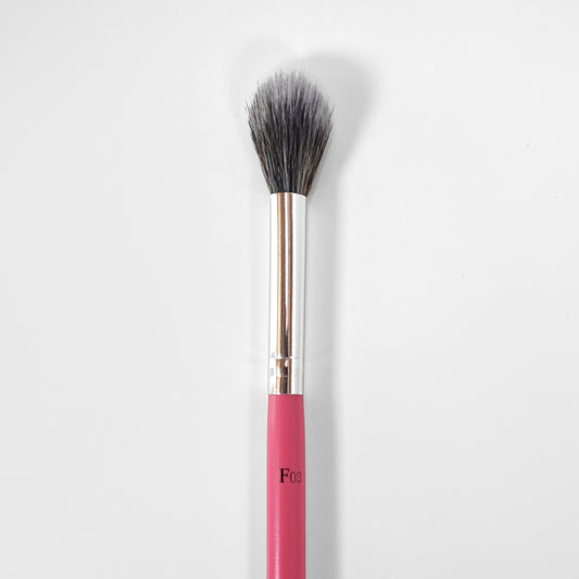 F03 -  מברשת שימר ופודרה